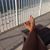 Deann Riley Johns's profile image