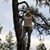 Sharon Herrick Gerving's profile image