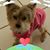 Jennie Larder's profile image
