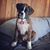 Barbara Moyer's profile image