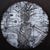 Peter Michelsen's profile image