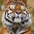 Susan Crocker's profile image