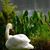 Deborah L. Zahner's profile image