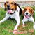 David N JoAnn Shortz's profile image