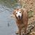 Sheena Stewart-Taylor's profile image