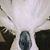 Debbie Rosander Snider's profile image