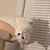 Debbie Smith's profile image