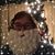 Jennifer Irene Haddad's profile image