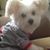 Shirley Napierala's profile image