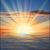 Maria Gericke's profile image