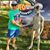 Tim Bayless's profile image
