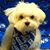 Terri Drew's profile image