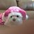 Lori Keyes's profile image