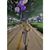 Noor Aziean's profile image