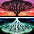 Christine Beachley's profile image