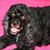 Terri Pendroy-Mantia's profile image