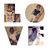 Lillady Jamira's profile image