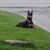 Stacey Lynn DeYoung's profile image