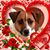 Teri A Black's profile image