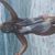 Alba Montes's profile image