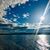 Nikki Boutillier's profile image