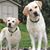 Judy Coker's profile image