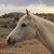 Gudrun Matussek Melkers's profile image