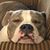 Robyn Kelso's profile image