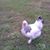 Lynn Burch's profile image