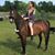 Shashi Alcide's profile image
