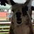 Aza Jo Drielts-Davis's profile image