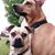 Teresa Swift-Eckert's profile image