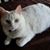 Theresa Merrill's profile image