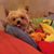 Tracy Murphy's profile image