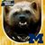 Marc Pillarelli's profile image