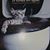 Joy Poggemeyer Bowles's profile image
