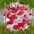 Rhonda Gaddy Saylor's profile image
