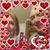 Linda Parker's profile image