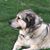 Eileen Kuhlmann's profile image