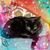 Valerie Gallo's profile image