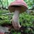 Nancy Muller's profile image