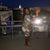 Shaunie Deville's profile image
