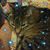 Terri McCollum's profile image