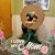 Adrianne Dardar White's profile image