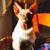 Andrea Lopez's profile image