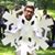 Scott William Wilson's profile image