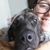 Victoria Brianne Lehmbeck's profile image