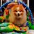 Teddy Weiss Douty's profile image