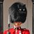 Stu Bershtein's profile image