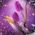 Lourdes C Juarez's profile image